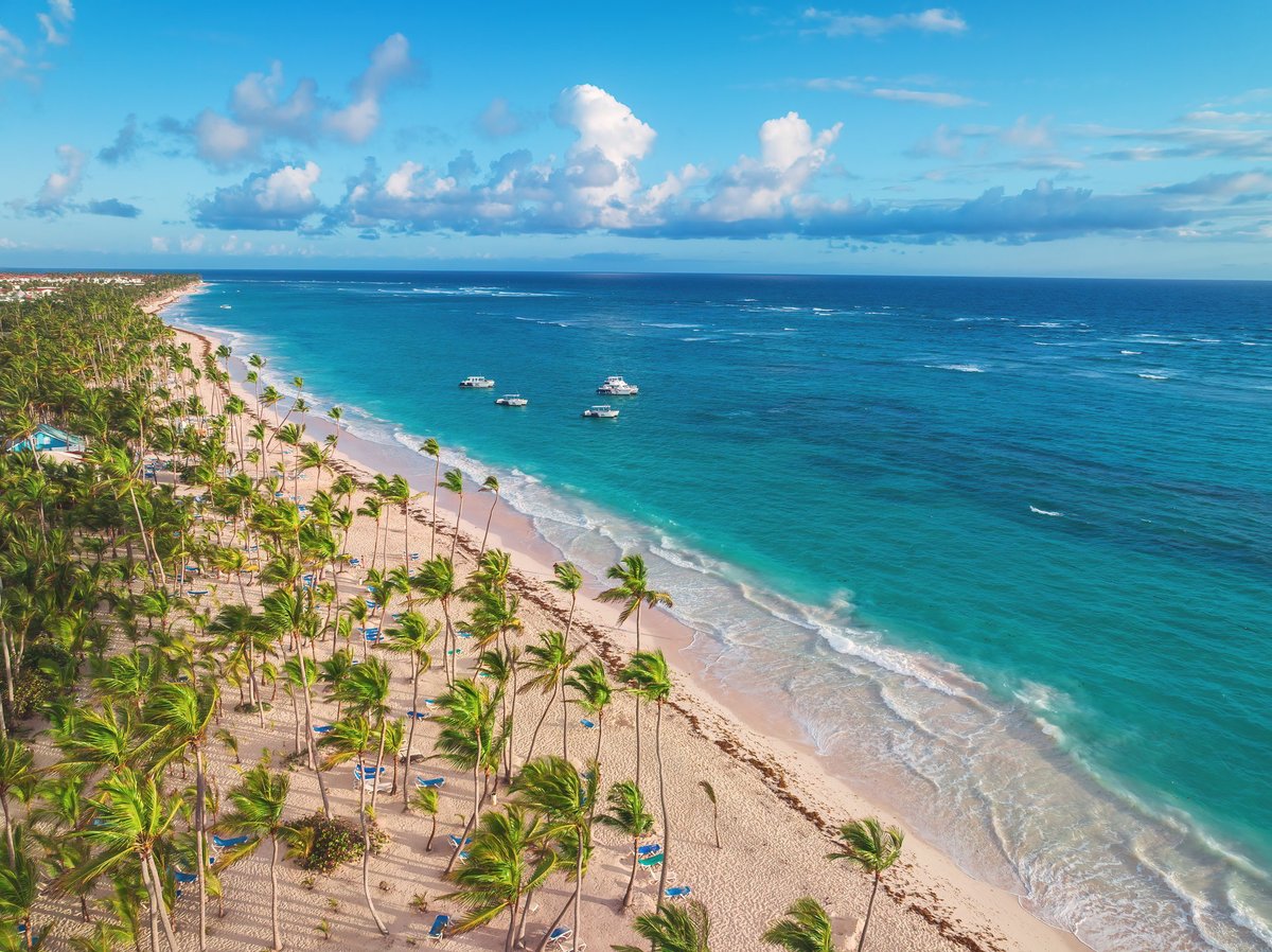 Aerial view of tropical Caribbean beach with palm trees and turquoise blue ocean waters
